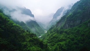 雨后神农山