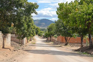 村口道路