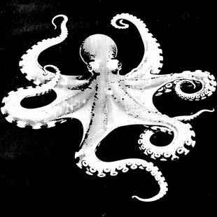 章鱼立体画