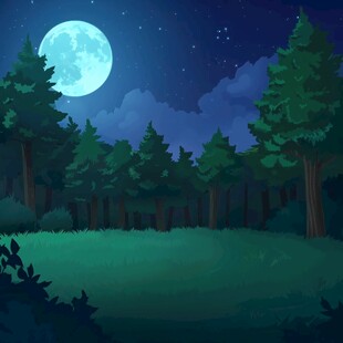 夜色森林景