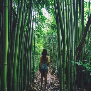 竹林中的女人