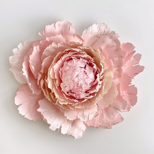 3d立体花卉牡丹