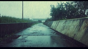 下雨的高速路