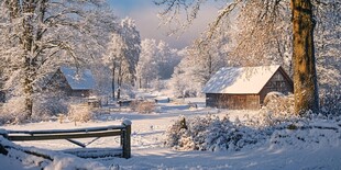 冬日雪景壁纸