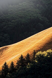 山林草地黄昏