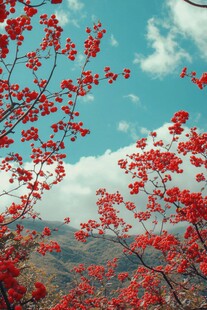 岭上映山红