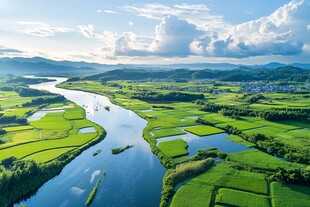 高清乡村稻天