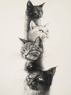 多只猫插画