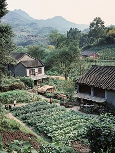 山村菜地