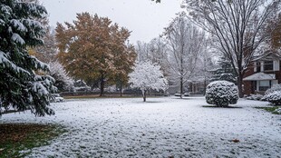 秋色积雪