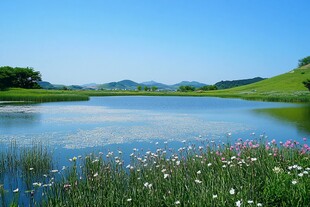 湖畔花田