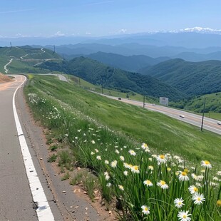 夏悫道