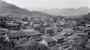 油岭瑶寨全景