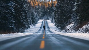 冬季森林山路积雪车辙