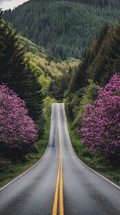 意境高山道路