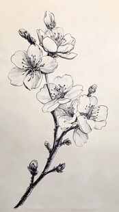 素描桃花