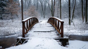 小桥上的雪