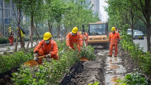 城市绿地日常维护