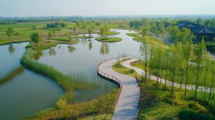 沣河湿地