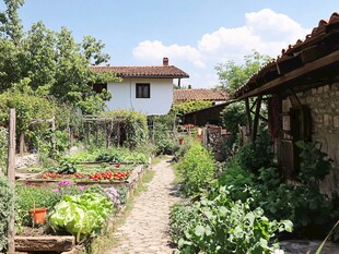 乡村菜园小屋