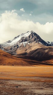 雪山草地荒漠