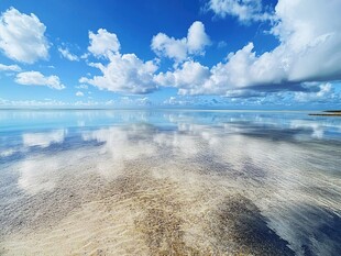 咸水湖旅游湖水盐云朵