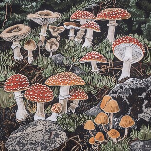 原创蘑菇挂画