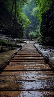 雨天金鞭溪