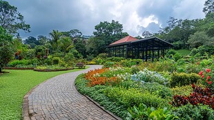 澳洲植物园