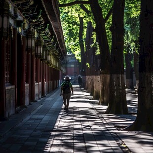 天坛林荫道