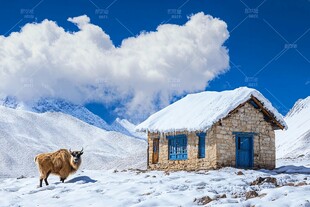 雪山茅草房