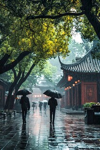 雨后神道