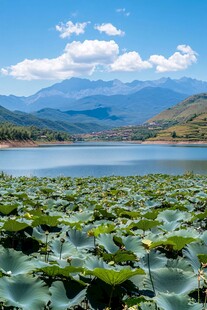 苍山湖泊