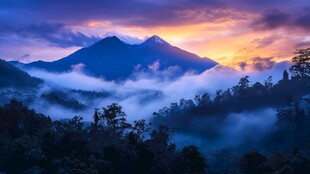 云海热带雨林