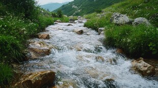 山野流水