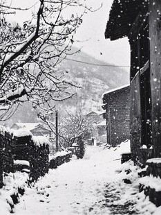 古庭院飘雪