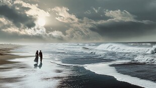 海景爱情高清