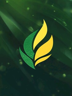 植物精油绿叶logo