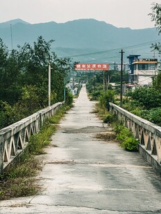 乡村振兴马路新农村