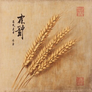 粮食画