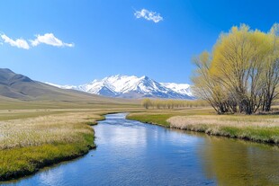 雪山河流湿地草壁纸