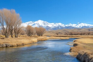 雪山河流湿地草壁纸