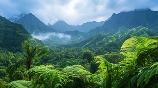 热带雨林风光仙境