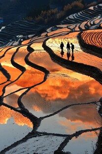 田梯夕阳田梯日落