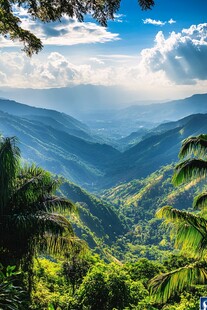 南美热带雨林风景