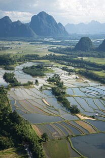 会仙田园风光