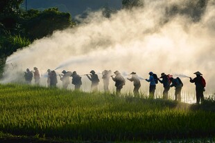 农民打农药场景