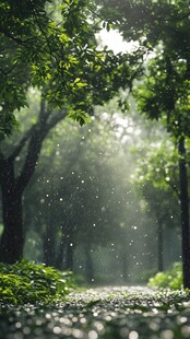 植物大树雨中