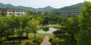 浙师大风景