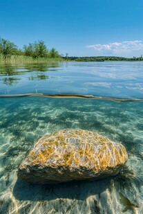 蓝色湖水里的礁石